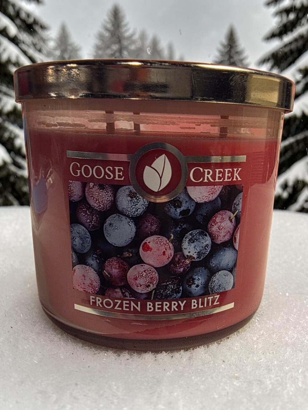 Goose Creek Frozen Berry Blitz Candle